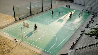 APP下载 LY Sports-国家级体育科研基地建设评估指标体系，国家体育产业基地管理办法(试行)