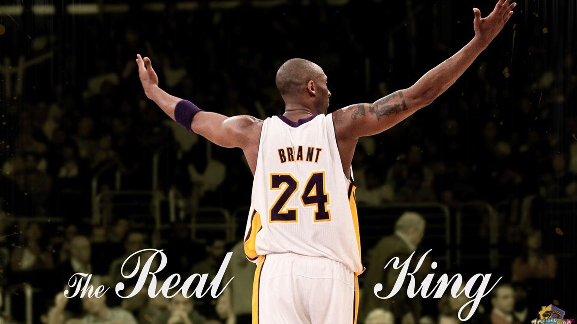 曼联球迷庆祝百年老队成就感人至深,曼联拜年